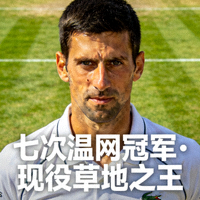 诺瓦克·德约科维奇肖像 - 七次温网冠军，现役草地之王坚毅眼神